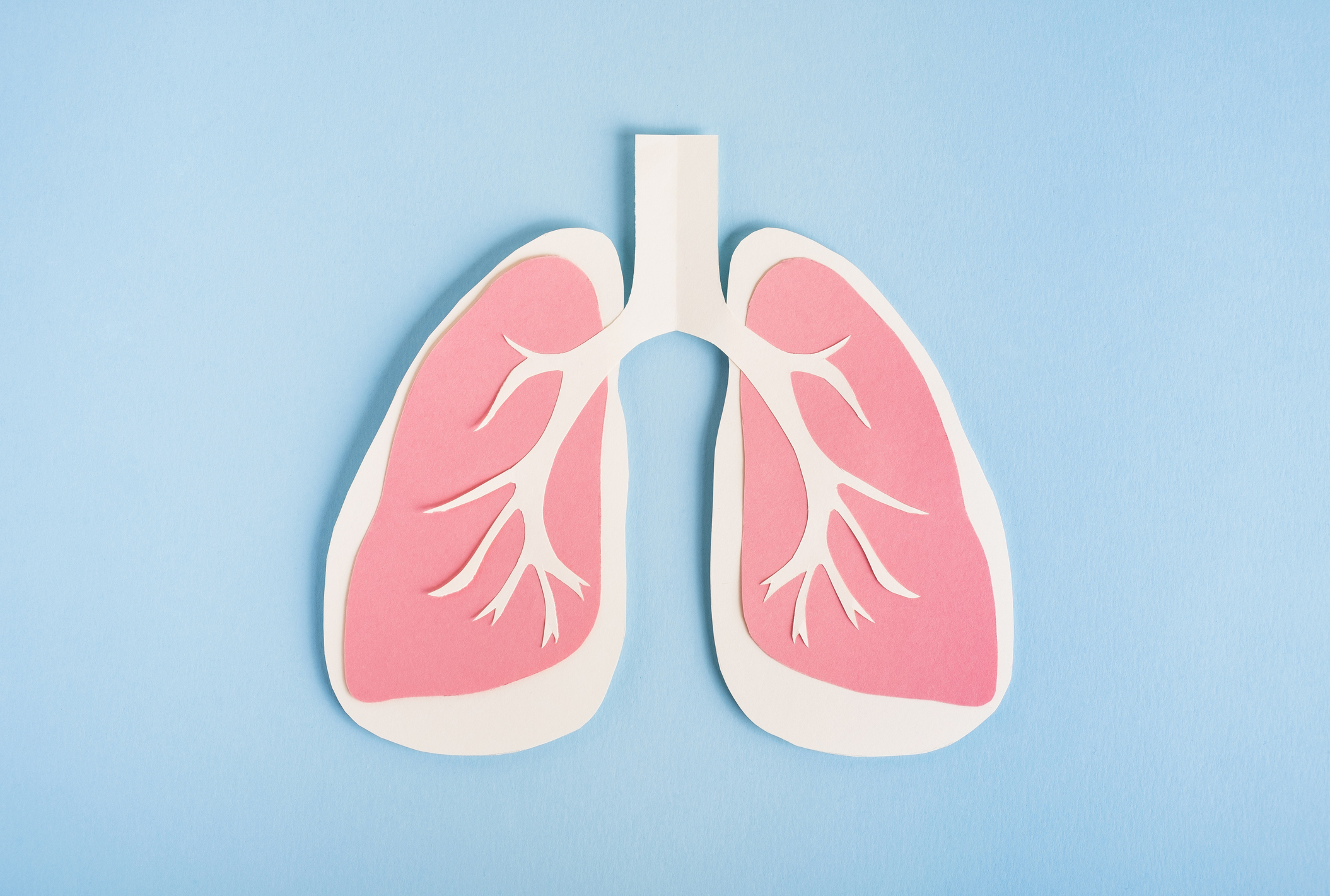 paper cut lungs on a blue background