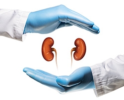 Photo of two gloved doctor's hands, one on top and one on the bottom, framing two illustrated kidneys in 3-D.