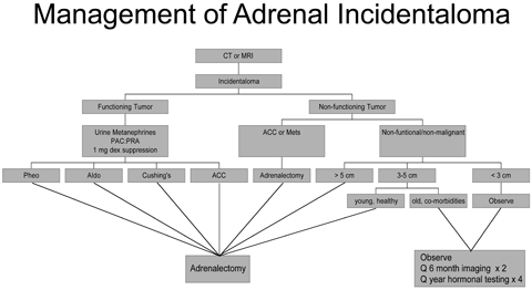 Management of Adrenal Incidentaloma (PDF)