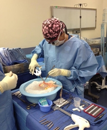 Arundi Mahendran, MBBS preparing an organ for transplant